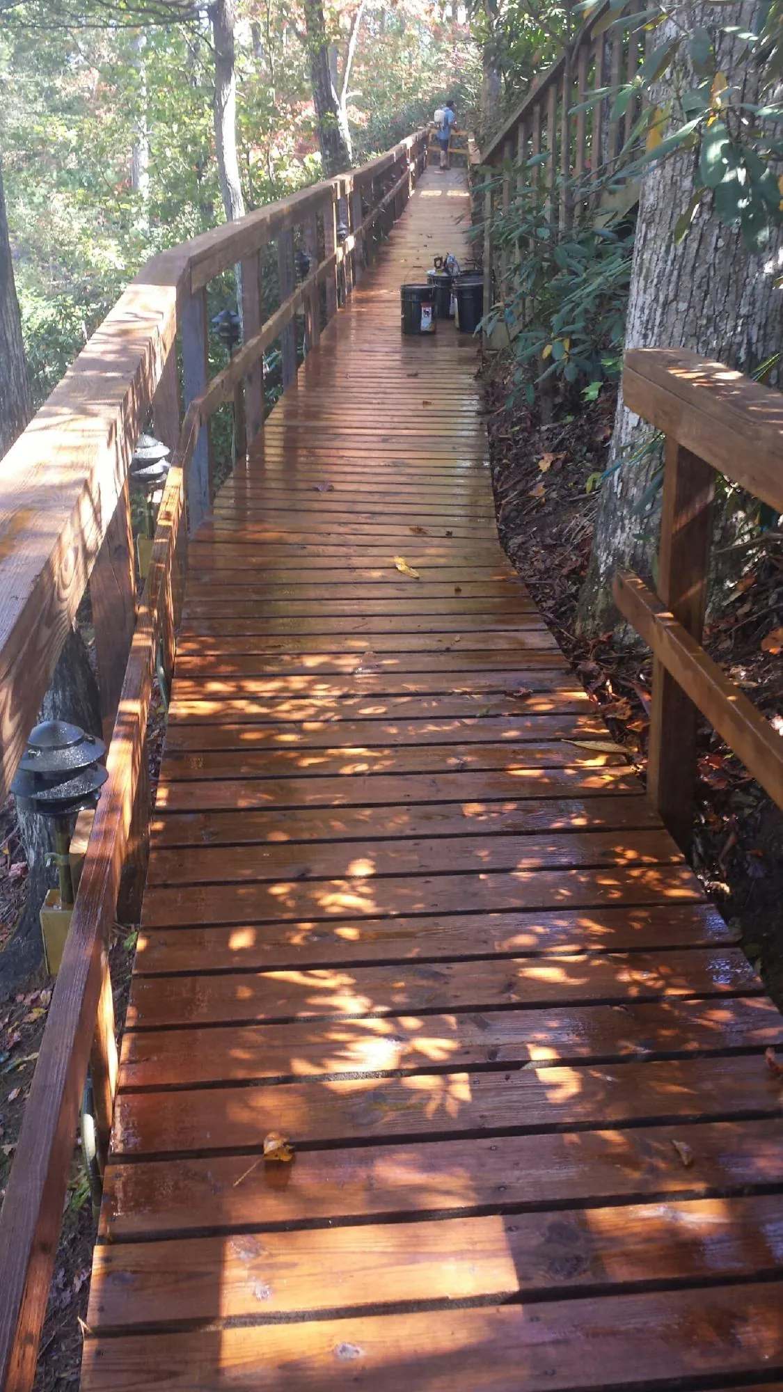 Freshly stained wood walkway winding through the woods in Airway Heights